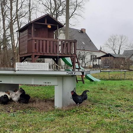 Zur Alten Jugendherberge Burg (Spreewald) Exterior foto