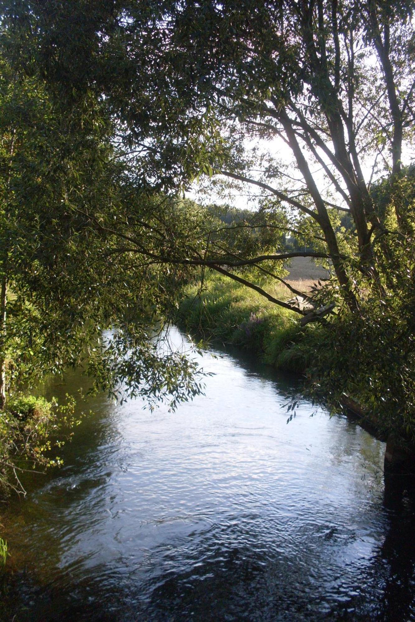 Zur Alten Jugendherberge Burg (Spreewald) Exterior foto